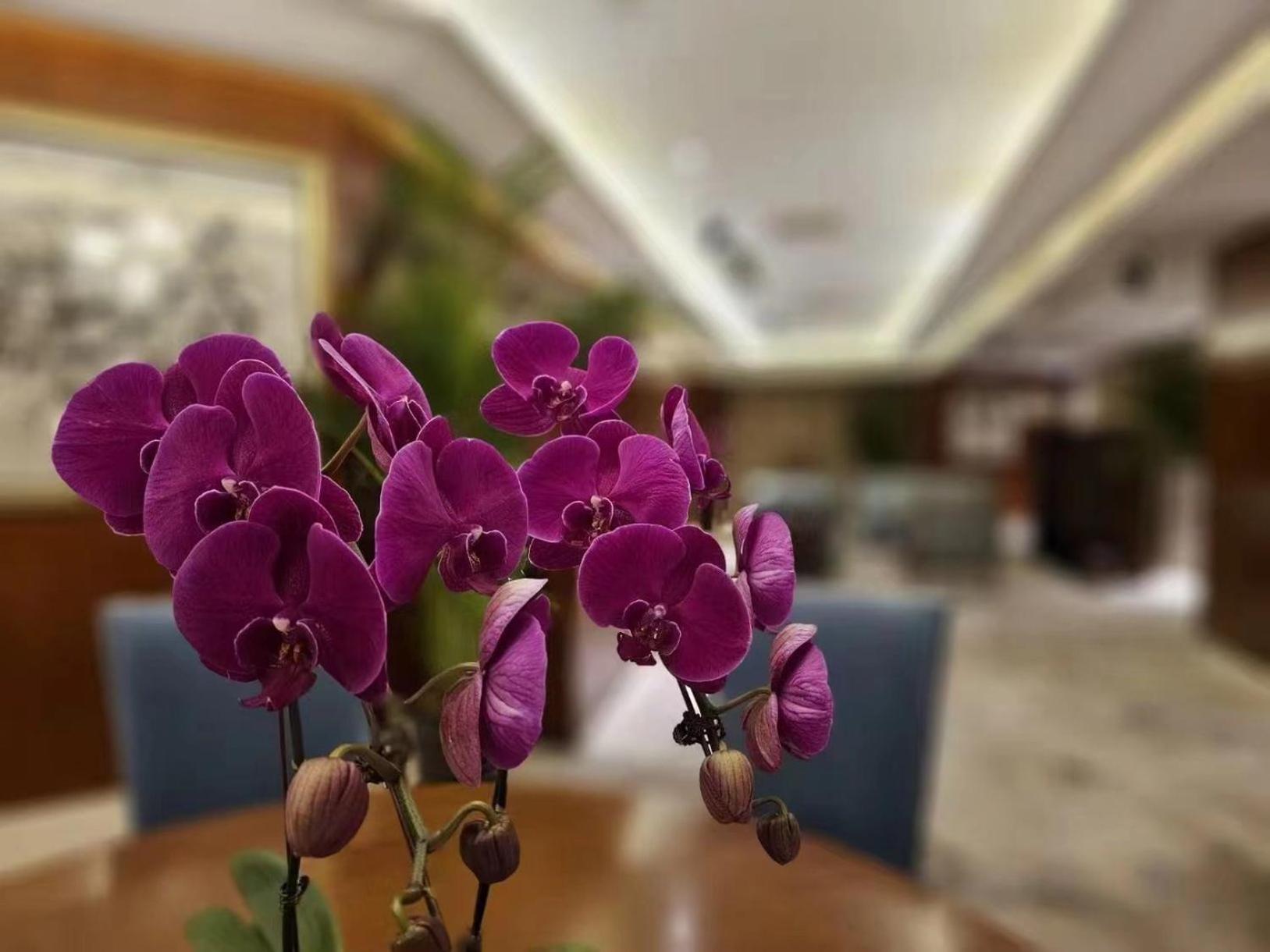فندق ريجنت بكين المظهر الخارجي الصورة